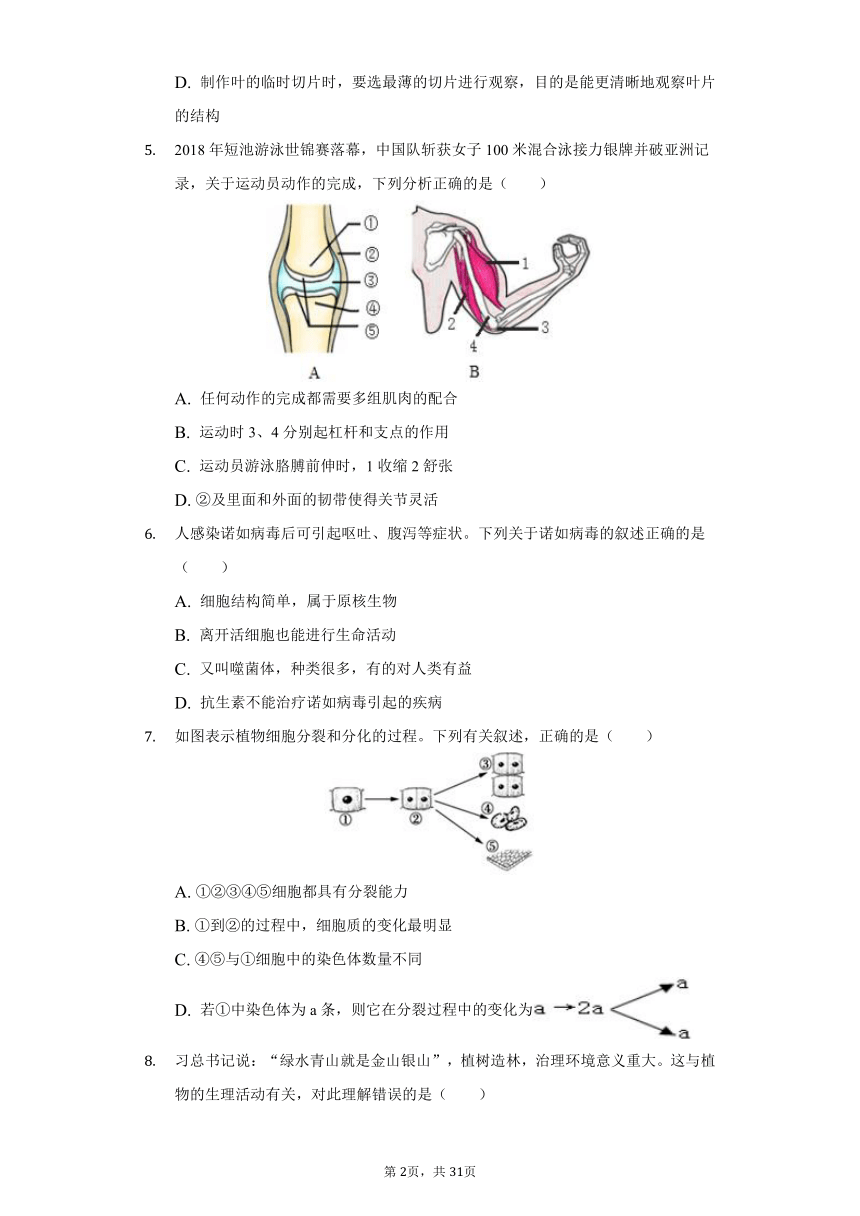 2020-2021学年山东省济南市济阳区八年级（下）期中生物试卷（word版含解析）