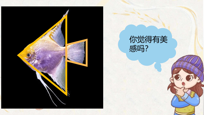 鱼的纹样 课件(共19张PPT)苏少版美术四年级上册