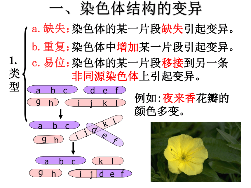 2020-2021学年高一下学期生物人教版必修二5.2染色体变异课件