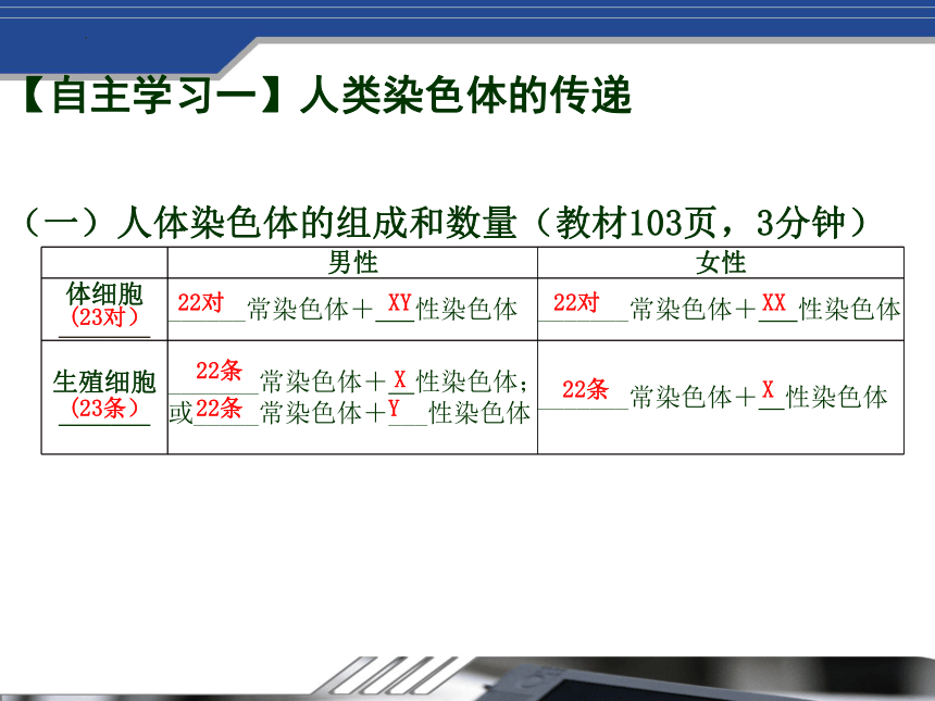 4.4.3 人类染色体与性别决定 课件（共14张PPT）