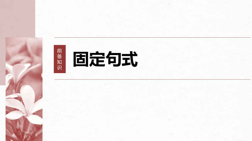 2024届高考一轮复习语文课件(共46张PPT)（新高考人教版）板块五 文言文阅读42 微案2 理解文言特殊句式——抓住标志，翻译落实