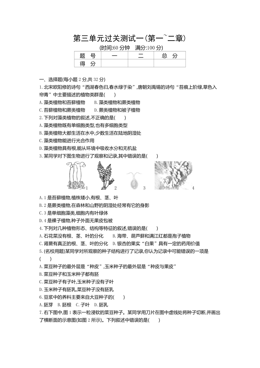 人教版七年级生物上册第三单元生物圈中的绿色植物过关测试一(第一~二章)（word版含答案）