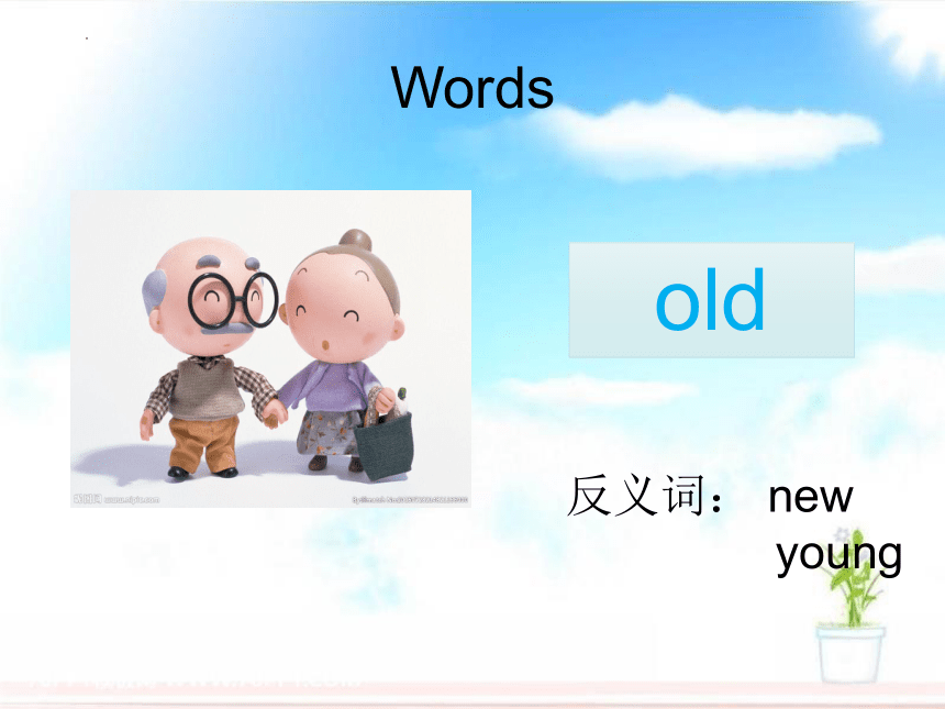 Unit3 Lesson13  How  Old Are  You?课件（20张PPT）