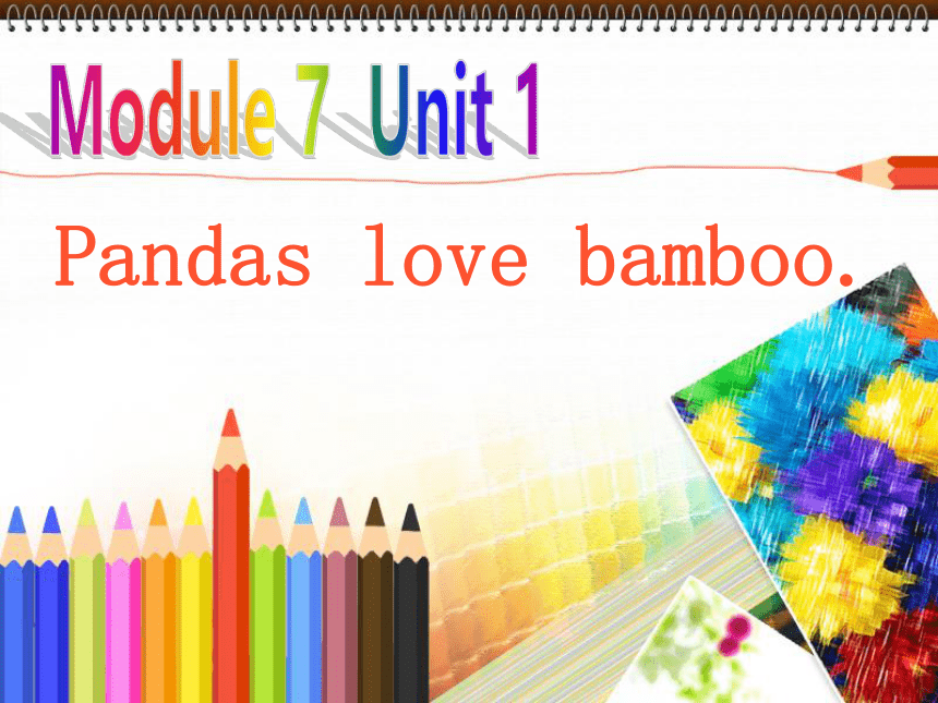 Module 7 Unit 1 Pandas love bamboo. 课件(共11张PPT)
