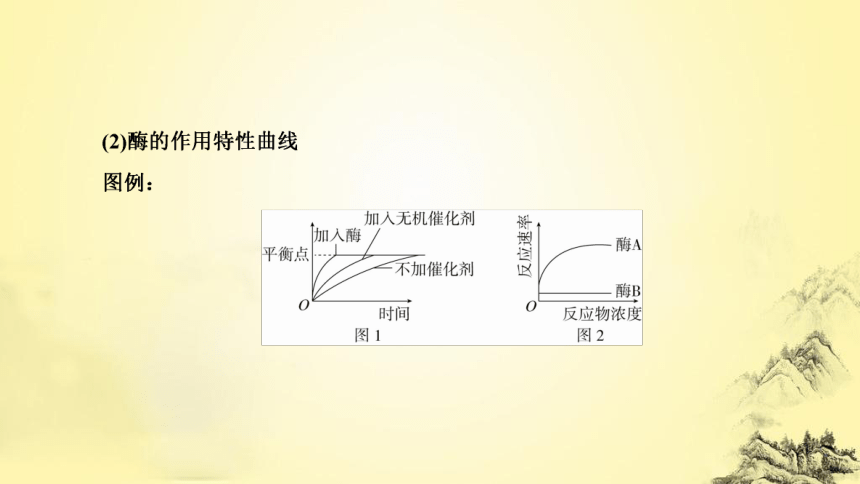 新人教生物二轮复习课件3 酶和ATP(课件共51张PPT)