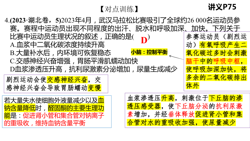 2024届高三二轮复习生物：内环境的稳态与免疫调节课件(共34张PPT)