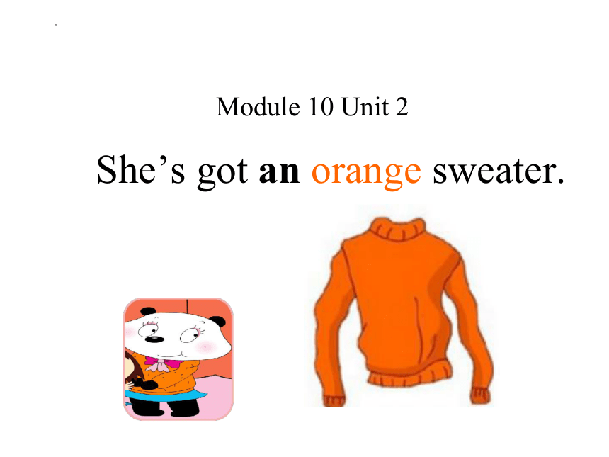 Module 10 Unit 2 She's got an orange sweater.课件(14张PPT）