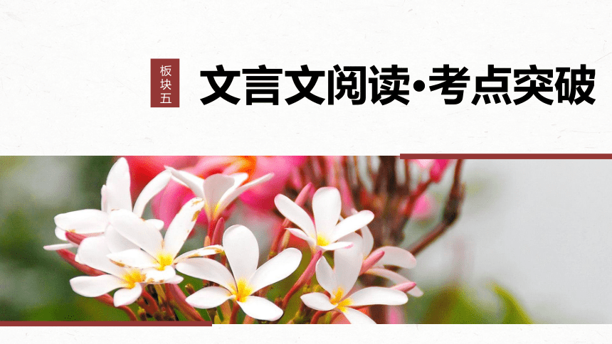 2024届高考一轮复习语文课件（新高考人教版）板块五　文言文阅读(共76张PPT) 41　理解文言实词（一）——词分古今，义究源流