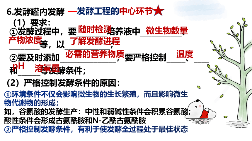 2021-2022学年高二下学期生物人教版（2019）选择性必修3-1.3发酵工程及其应用课件-（24张ppt）