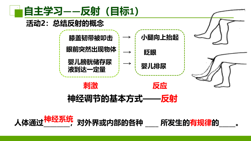 3.5.3神经调节的基本方式课件(共28张PPT+内嵌视频1个)2022-2023学年济南版生物七年级下册