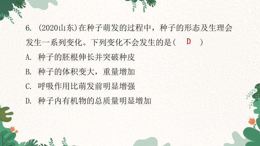 人教版生物七年级上册 第三单元生物圈中的绿色植物章末总结第二章被子植物的一生课件(共31张PPT)