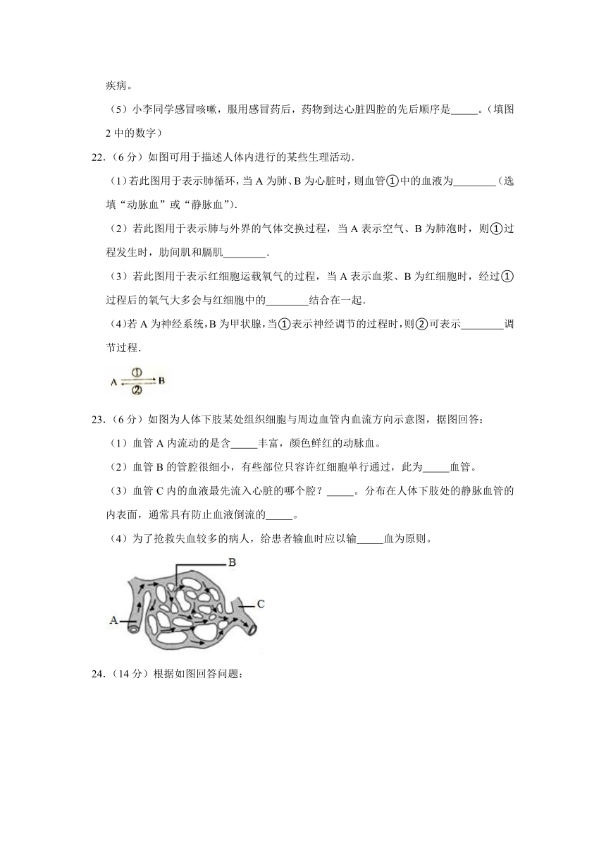 2020-2021学年人教版生物七年级下册第4章 人体内物质的运输测试卷（word版含解析）