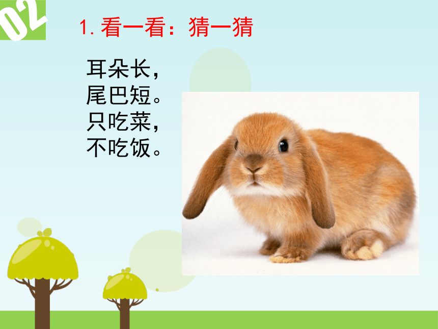8辽海版小学三年级美术下册《动物朋友》教学课件(共14张PPT)