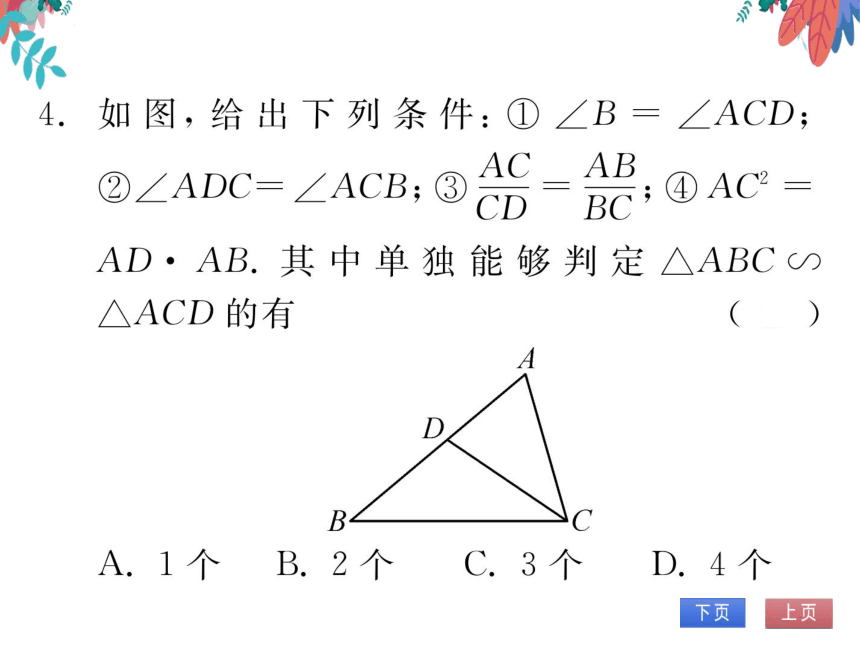 【沪科版】数学九年级上册 22.2 相似三角形的判定 第3课时 习题课件