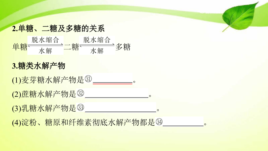 高考生物专题课件3：蛋白质、核酸、糖类和脂质(共72张PPT)