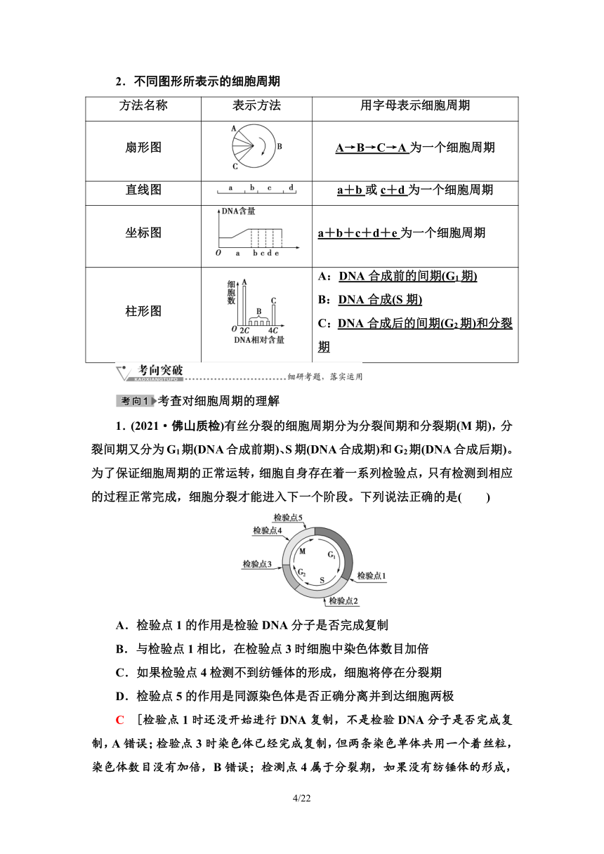 【备考2024】生物高考一轮复习学案：第11讲 细胞的增殖(含答案）