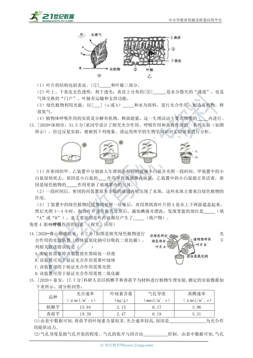 济南版中考真题汇编2.1.4绿色植物的呼吸作用(含答案)