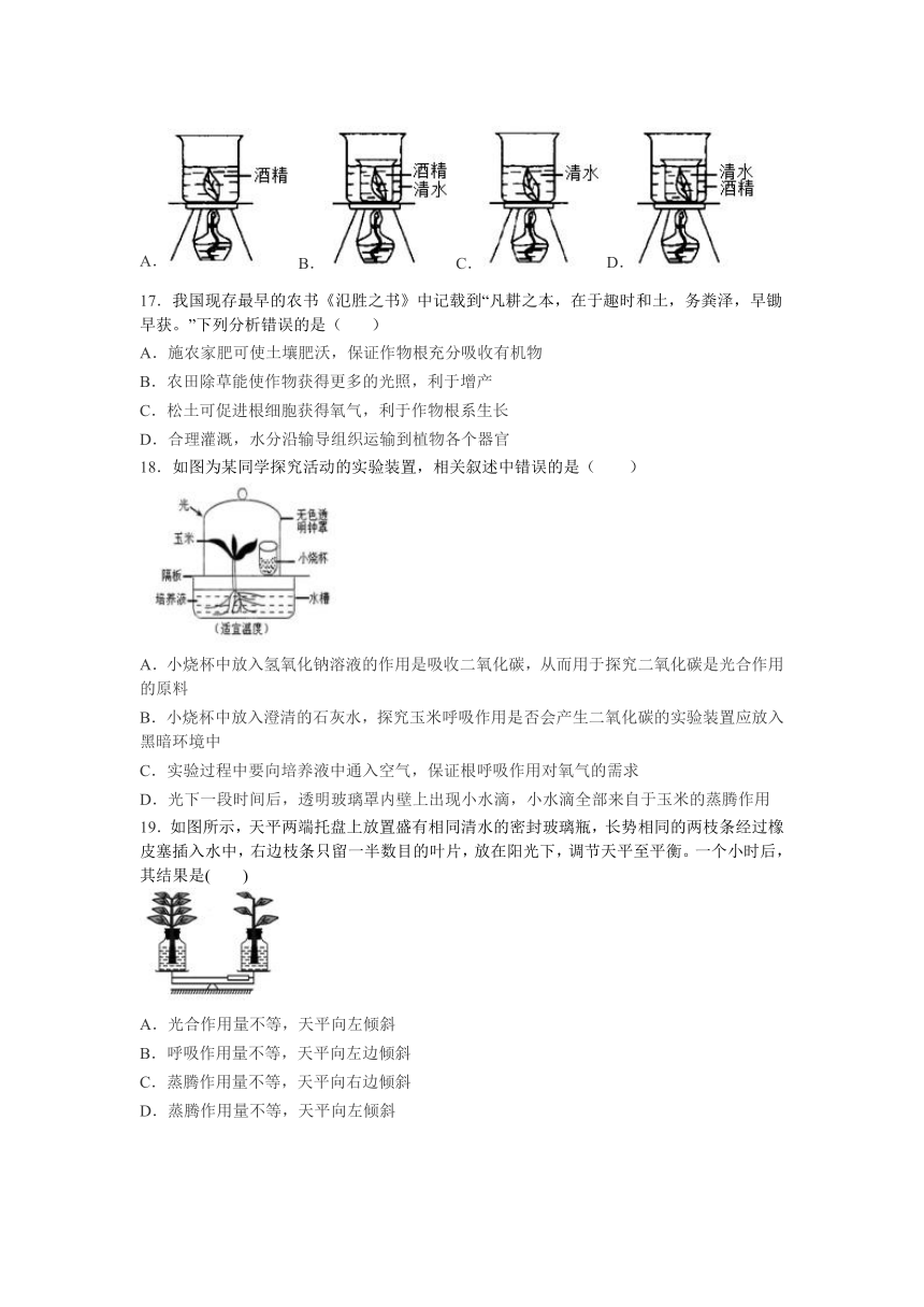 人教版七年级上册生物第三单元 生物圈中的绿色植物单元练习题（无答案）