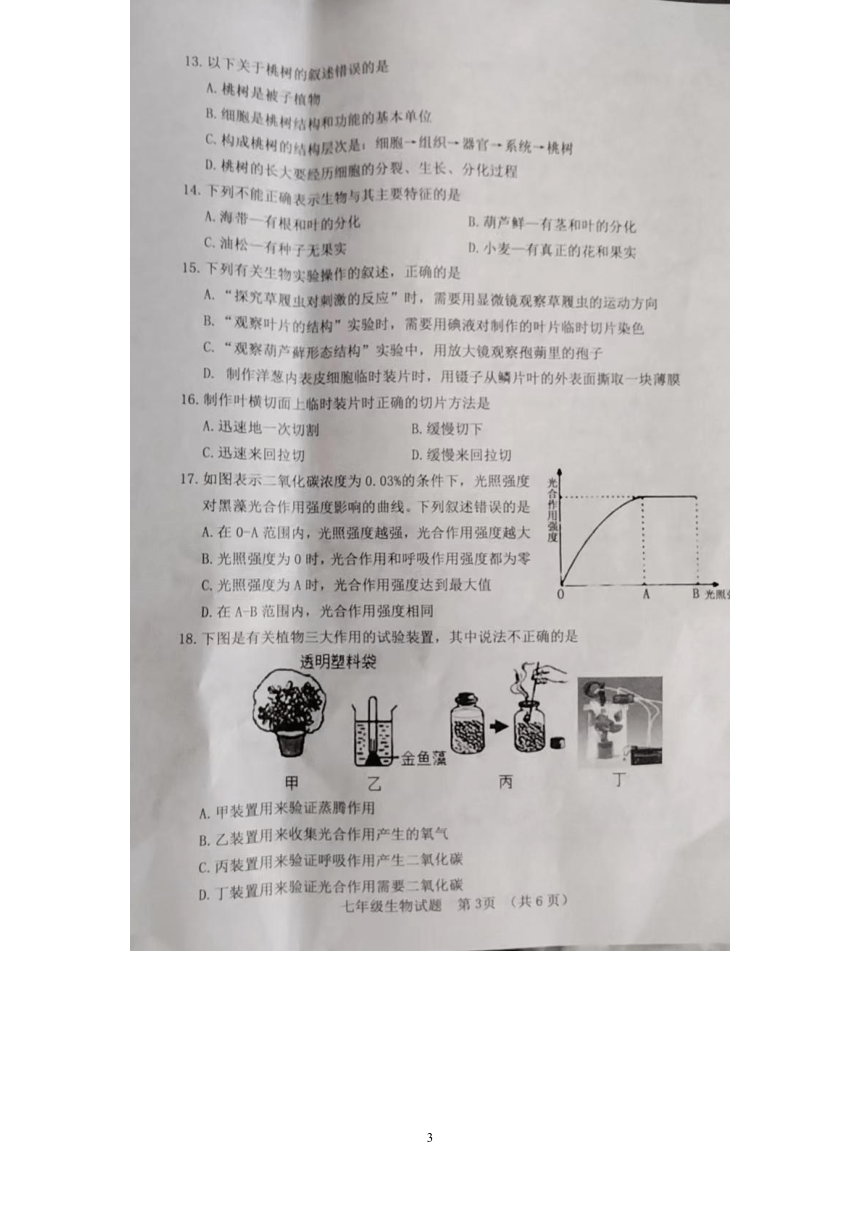 山东省东明县2022-2023学年七年级生物上学期期中试题（图片版 含答案）