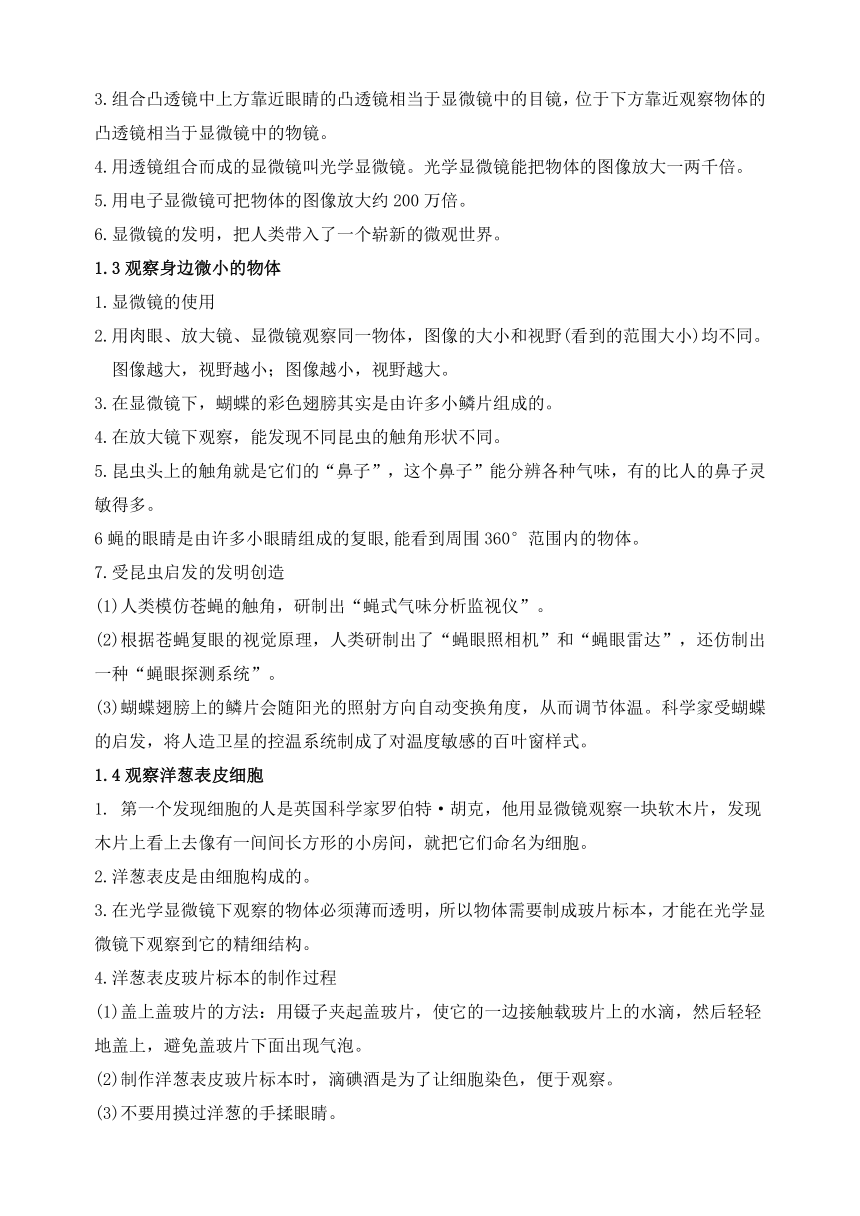 教科版六年级上册科学第一单元《微小世界》知识点