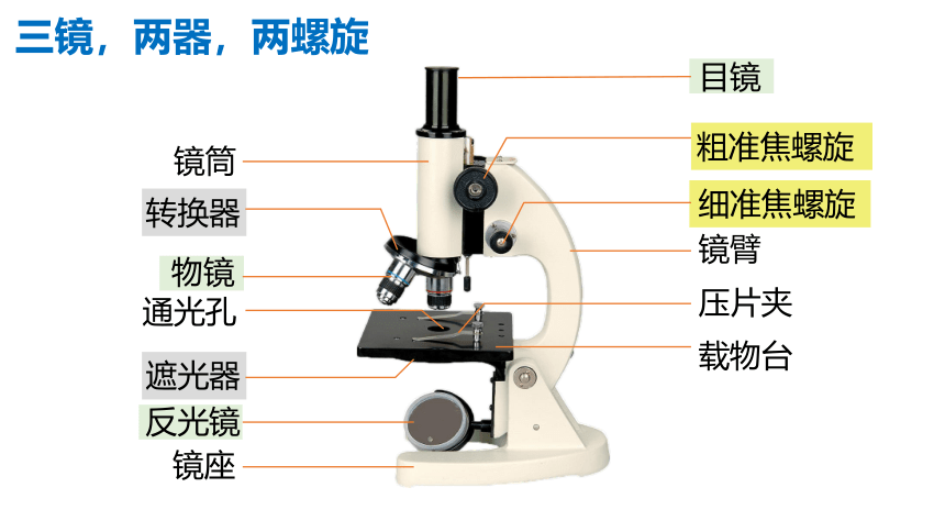 2.1.1练习使用显微镜课件(共21张PPT)人教版初中生物七年级上册