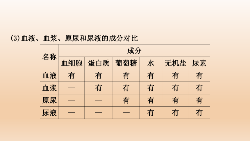 2023年中考生物复习专题★★人体代谢废物的排出.ppt(共27张PPT)