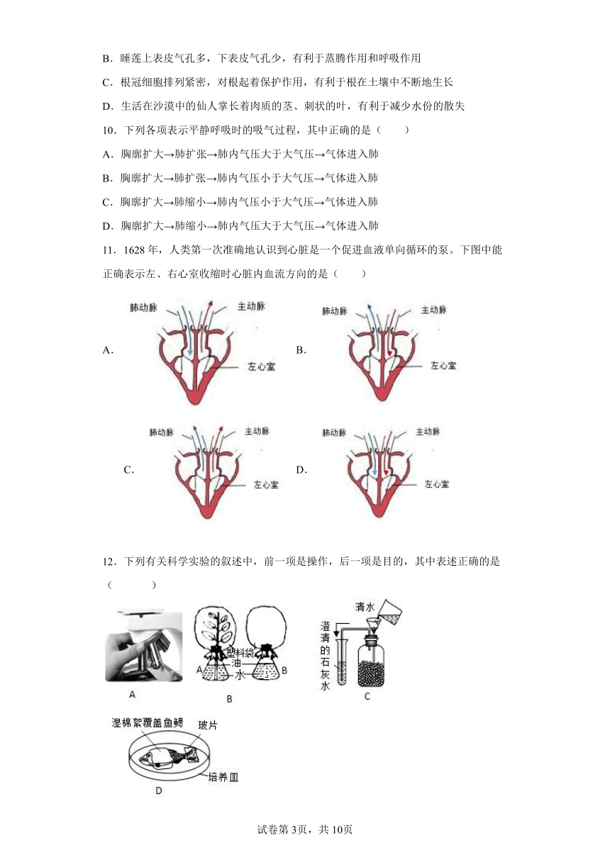 2022年浙江省中考科学专题练习：人体新陈代谢（含解析）