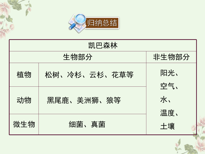 8.23.2  生态系统概述  课件(共25张PPT)2022-2023学年北师大版生物八年级下册