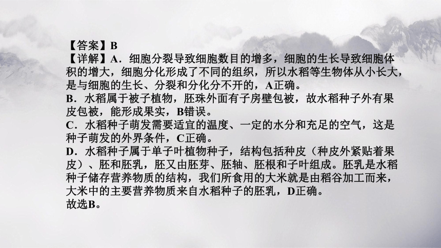 第三单元 第二章 被子植物的一生-【复习旧知】2022-2023学年七年级生物上册复习课件（人教版）(共50张PPT)