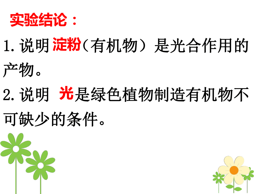 2021-2022学年人教版生物七年级上册3.5 绿色植物与生物圈中的碳—氧平衡（复习课）课件(共33张PPT)