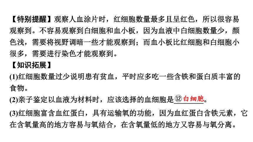 4.4 血液、血管、输血和血型复习课件(共26张PPT)