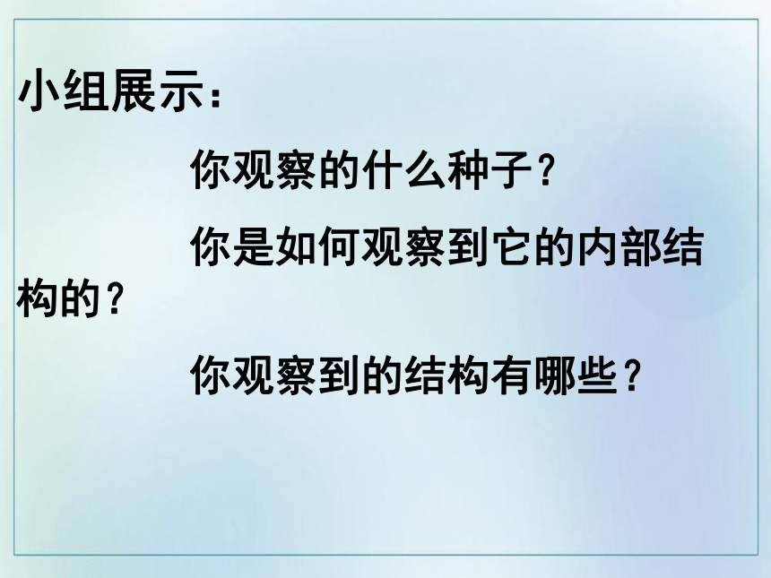 3.1.2 种子植物  课件(共45张PPT)  2021—2022学年人教版七年级生物上册