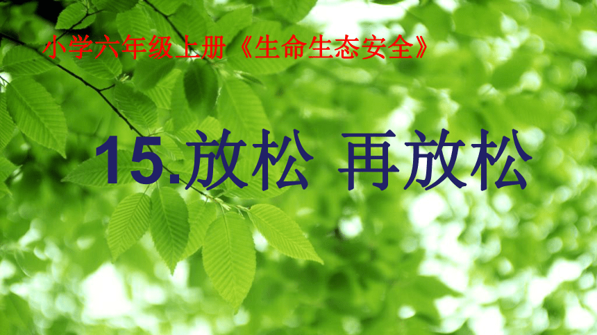 人教川教版六年级上册 生命 生态 安全 15 放松 再放松 课件（22张ppt）