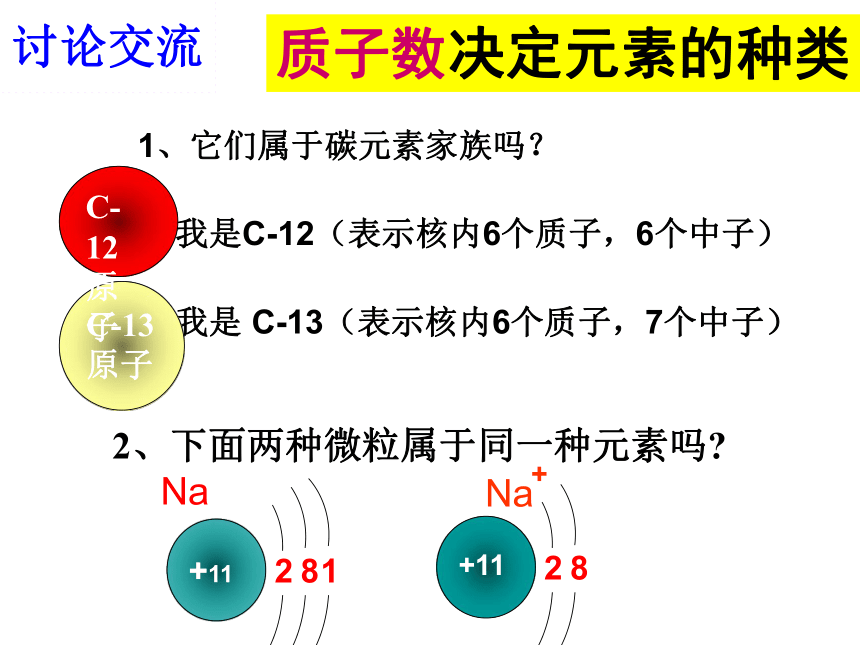 鲁教版  九年级上册化学  2.4元  素( 共43张PPT)