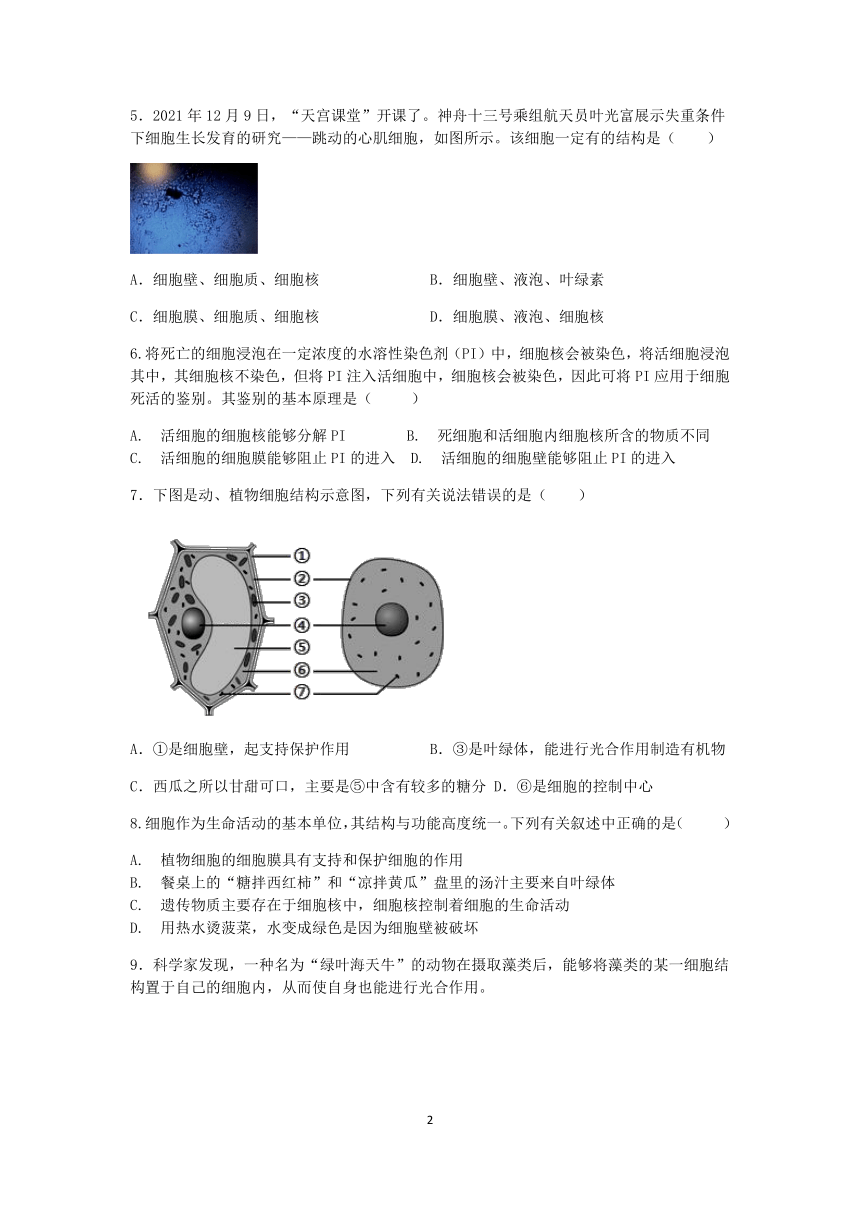 浙教版科学2022-2023学年上学期七年级“一课一练”：2.2细胞（1）【word，含解析】