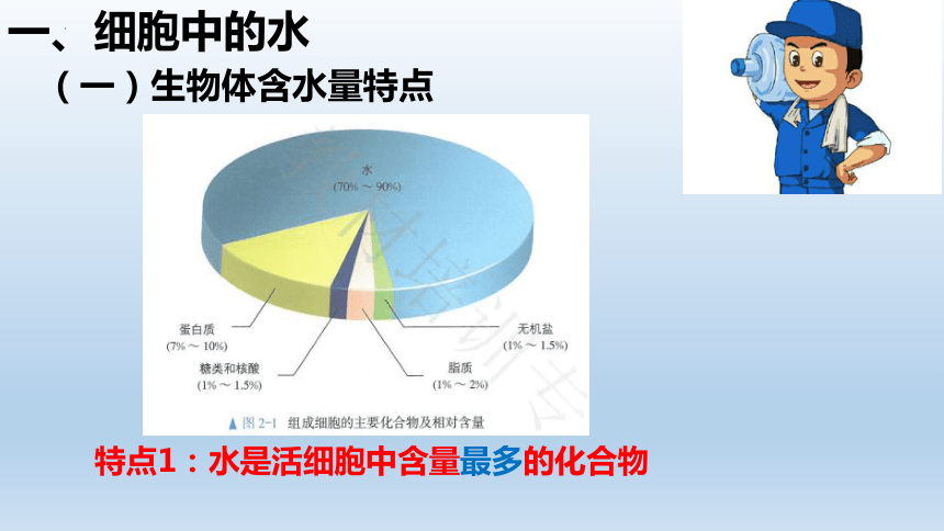 生物人教版（2019）必修1 2.2细胞中的无机物（共38张ppt）课件