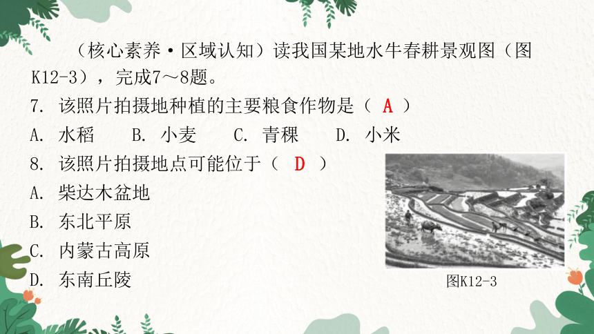 2023年中考地理一轮复习专题十二  中国的经济发展 课件(共20张PPT)