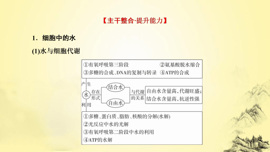 新人教生物二轮复习课件1 细胞的分子组成(共60张PPT)