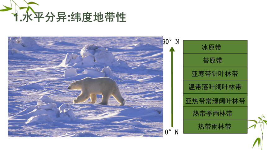 3.3自然地理环境差异性课件（17张）