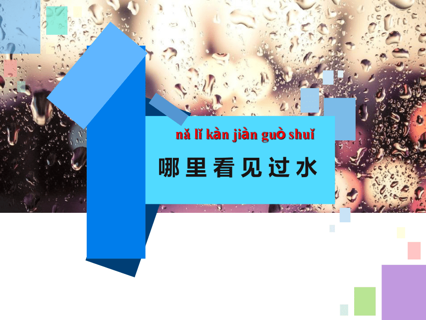 苏教版（2017秋）一年级下册科学课件-2.4 水是什么样的  （课件 共31张PPT）