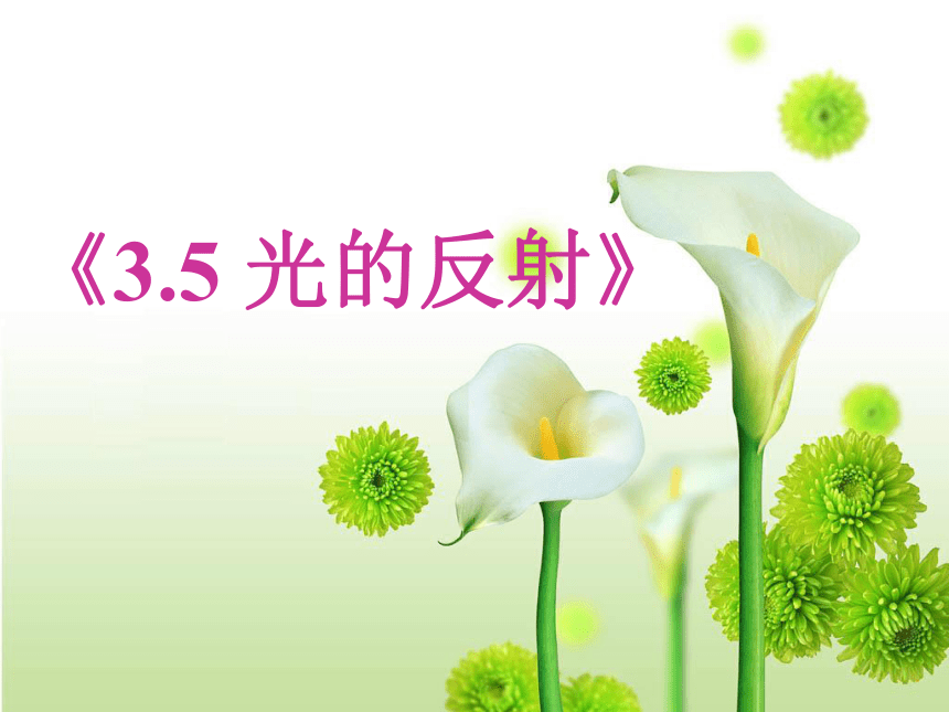 苏科版八年级上册物理 3.5 光的反射 课件（22张）