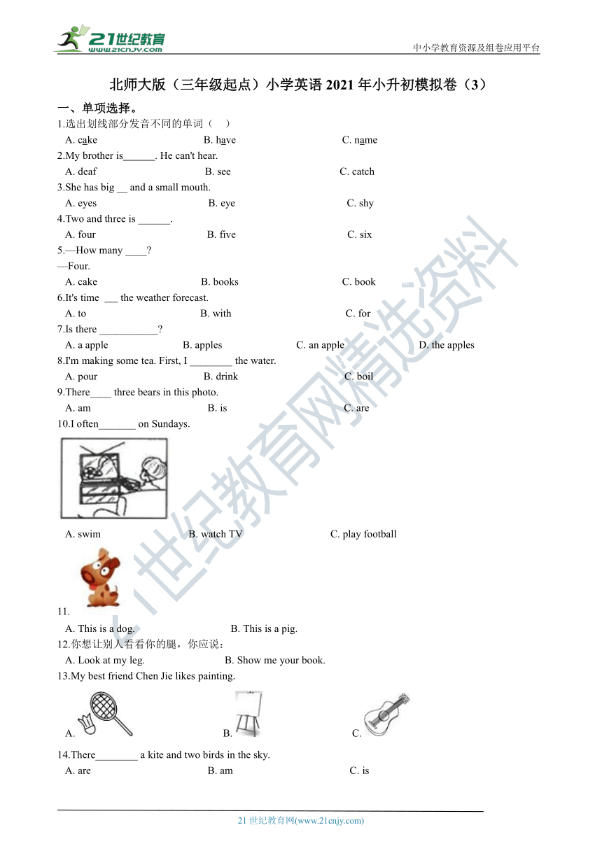 北师大版（三年级起点）小学英语2021年小升初模拟卷（3）（含答案解析）