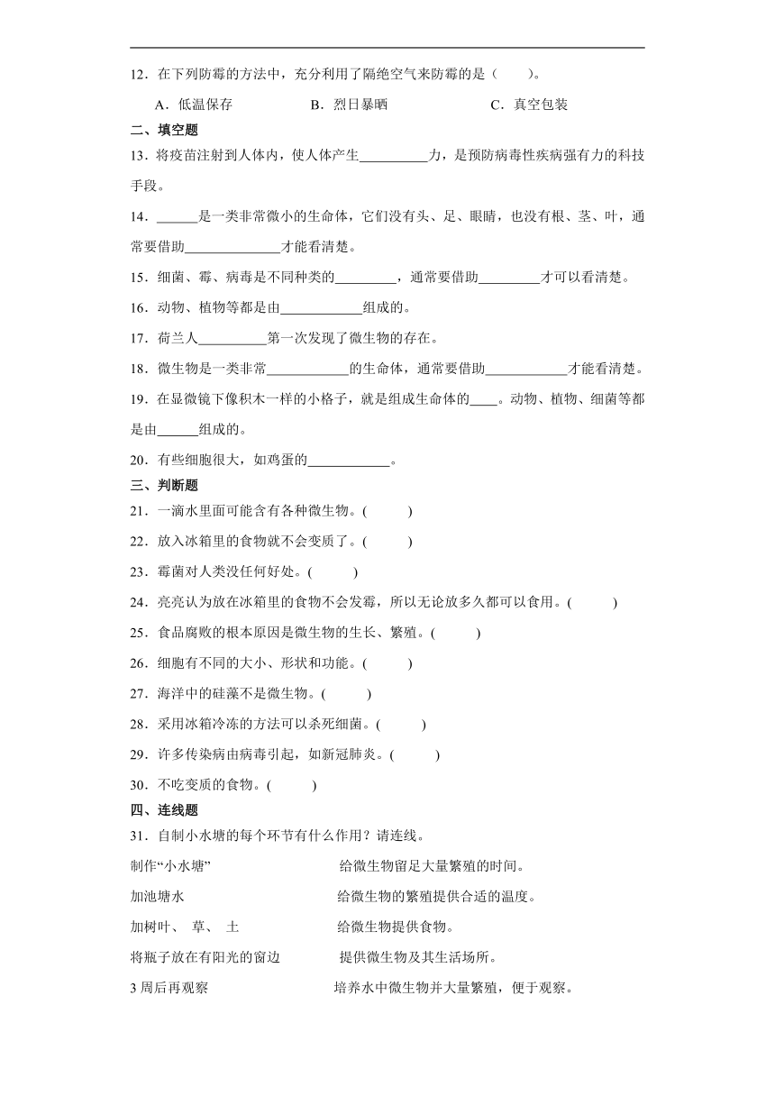 苏教版五年级下册科学第一单元显微镜下的生命世界综合训练（含解析）