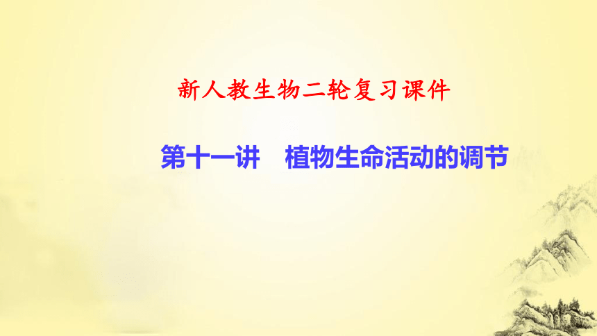 新人教生物二轮复习课件11 植物生命活动的调节(课件共50张PPT)