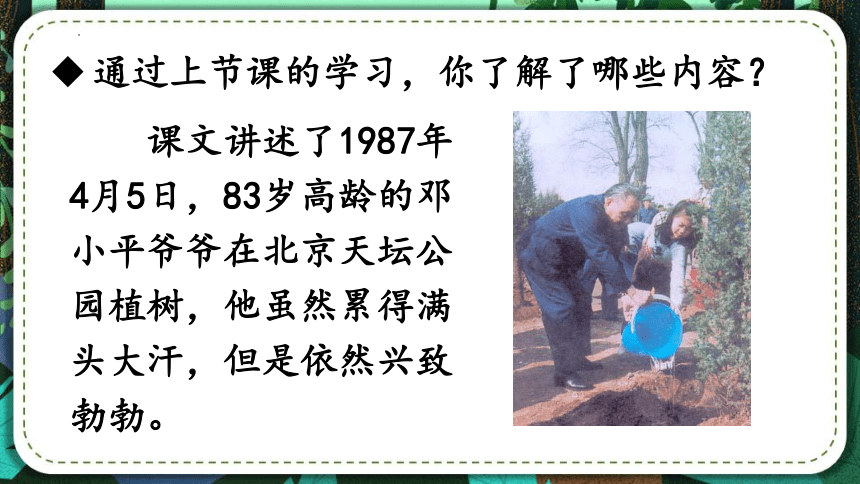 4.邓小平爷爷植树（第二课时）（课件）（19张）