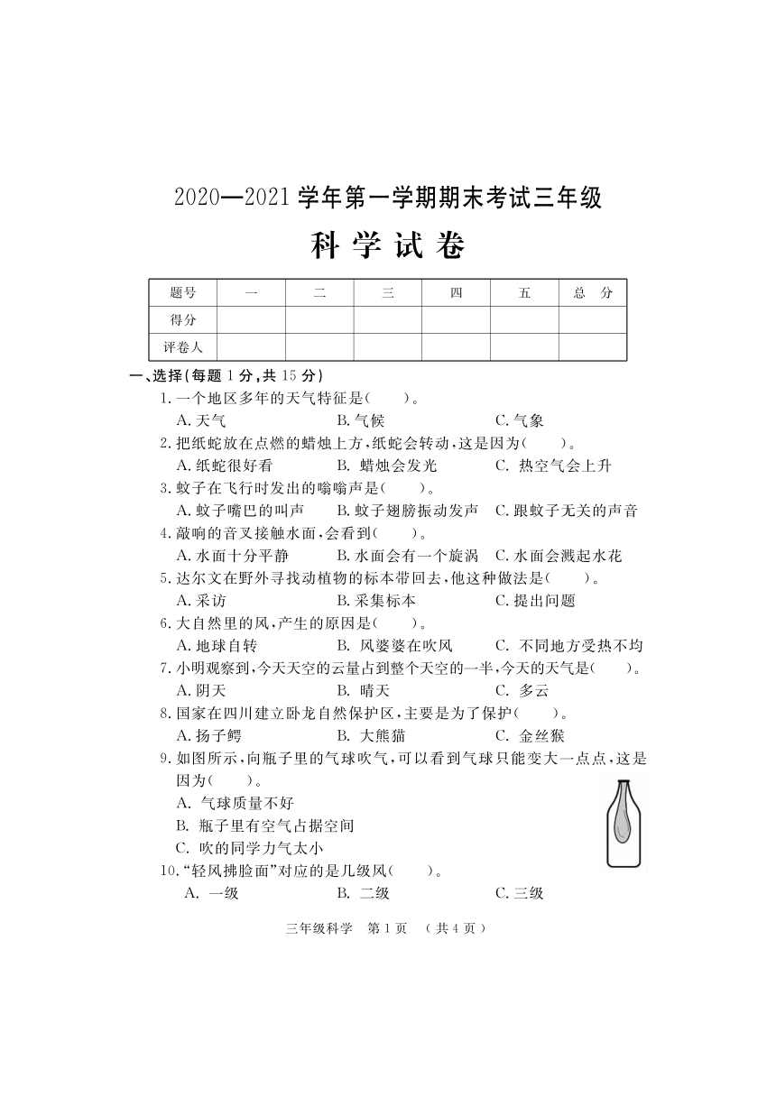 河南省洛阳市嵩县科学三年级上学期期末试题 （大象版，PDF版，含答案）