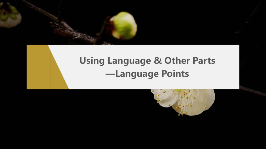Unit 2 Period 5　Using Language & Other Parts—Language Points课件（共26张PPT）人教版（2019）选择性必修 第三册