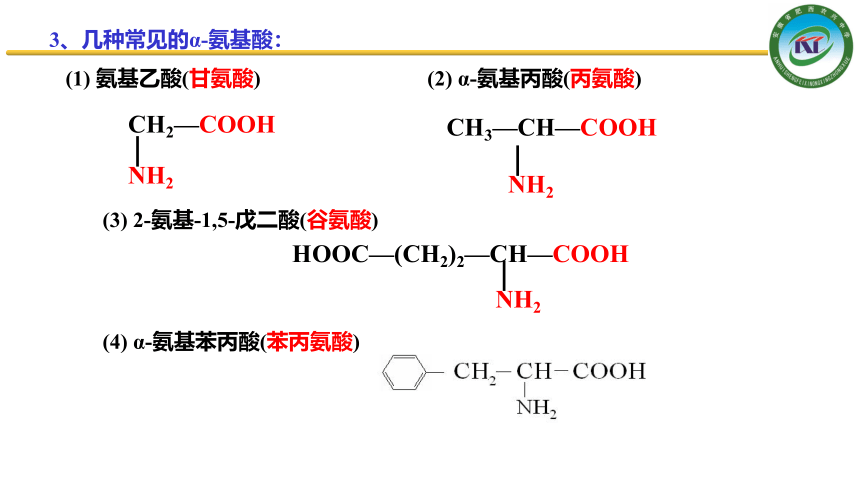 4.3 蛋白质和核酸 课件 2020-2021学年人教版高二化学选修5（28张PPT）