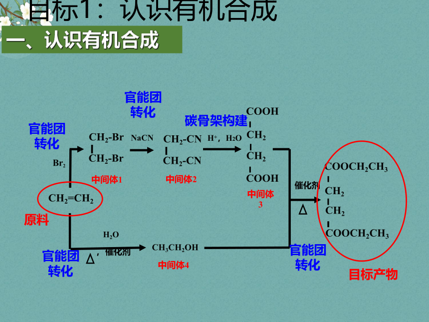 5.3.3碳骨架的构建（教学课件）(共23张PPT)—-高二化学苏教版（2019）选择性必修3