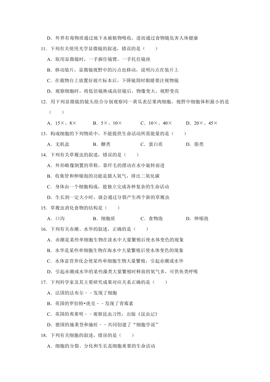 2020-2021学年山东省泰安市泰山区六年级（上）期末生物试卷     （含解析）